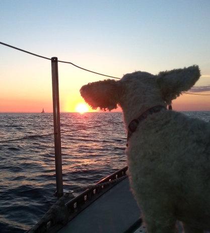 Lucy fulling embracing the sunset while on passage--looking as always for the "green flash".