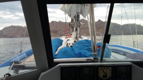 Lucy is completely exhausted after working the spinnaker all day getting to San Juanico.